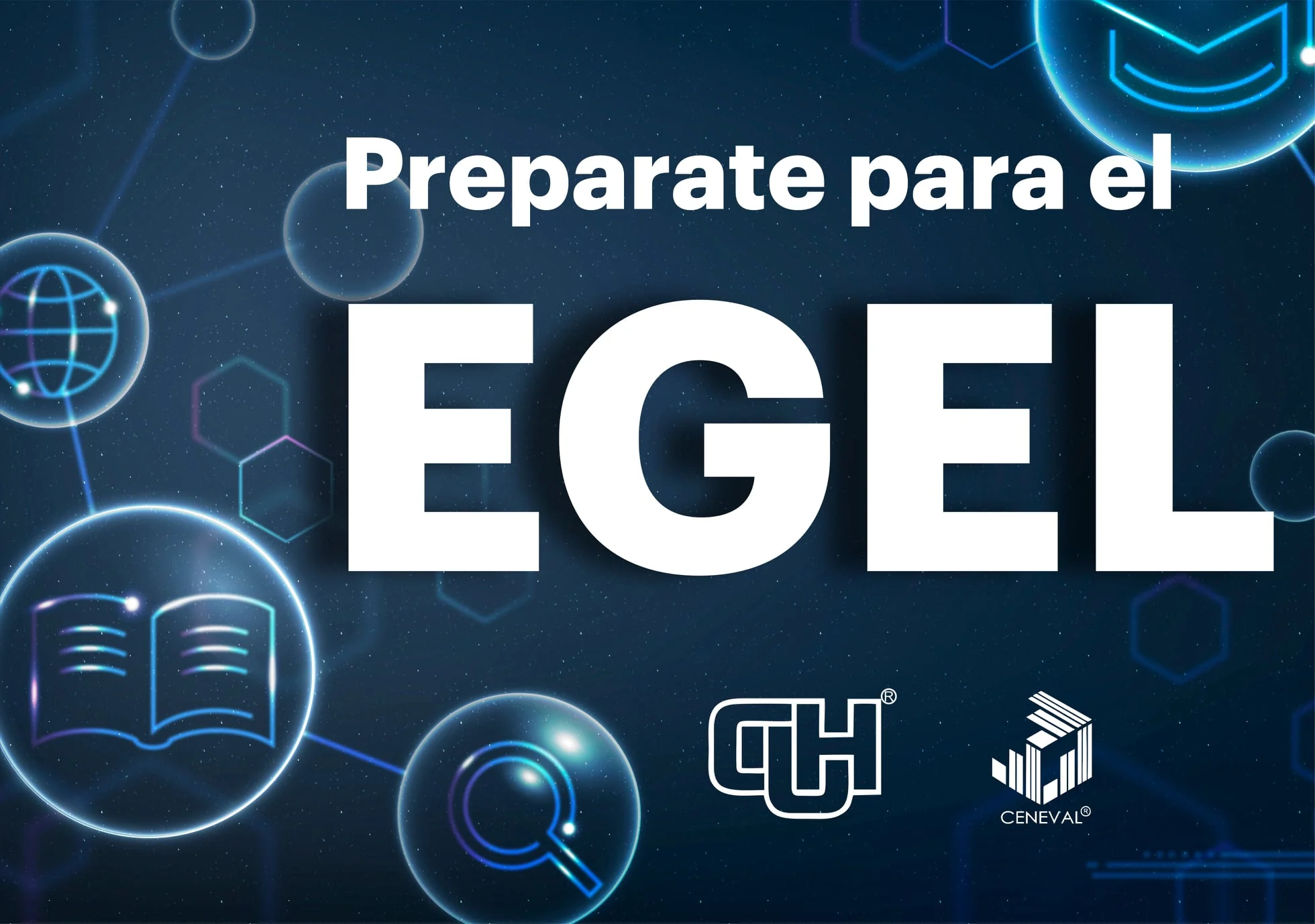 Equipo trabajando